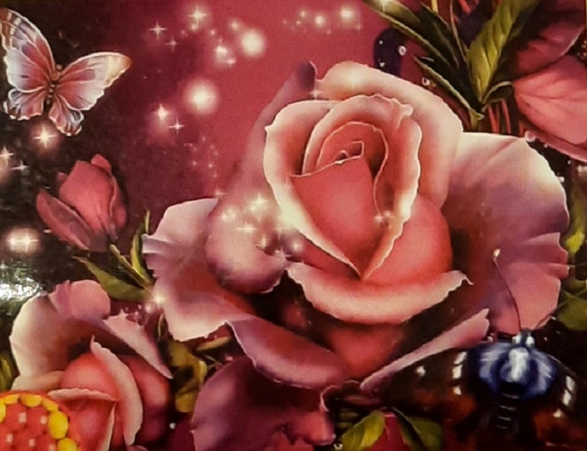 Diamond painting 40 x 50 cm roos met vlinder nieuw volledige bedrukking ronde steentjes direct leverbaar - rozen - roos - vlinder - butterfly - bloem - bloemen - takken - bladeren - unieke schilderij- rups
