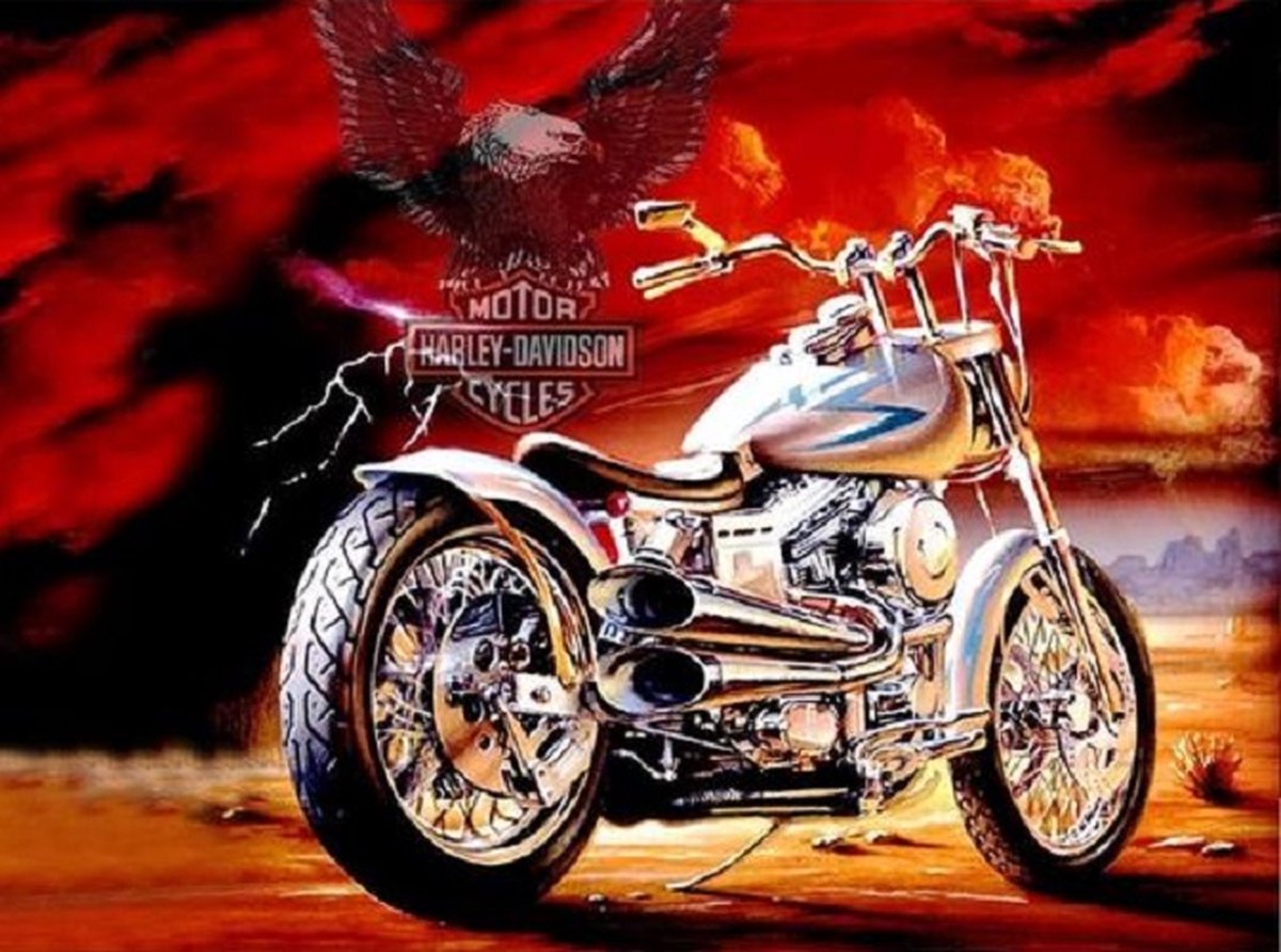 Diamond painting Harley Davidson cycles 40 x 50 cm volledige bedrukking ronde steentjes direct leverbaar - biker - motor - shopper - harley - uniek model -