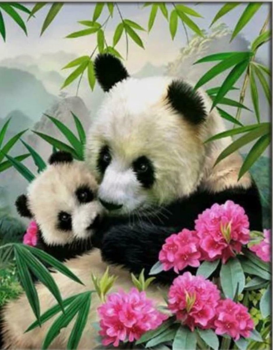 Diamond painting Panda beer baby panda 40 x 50 cm volledige bedrukking ronde steentjes direct leverbaar - panda - beer - baby - bloemen - uniek - bamboe - dieren
