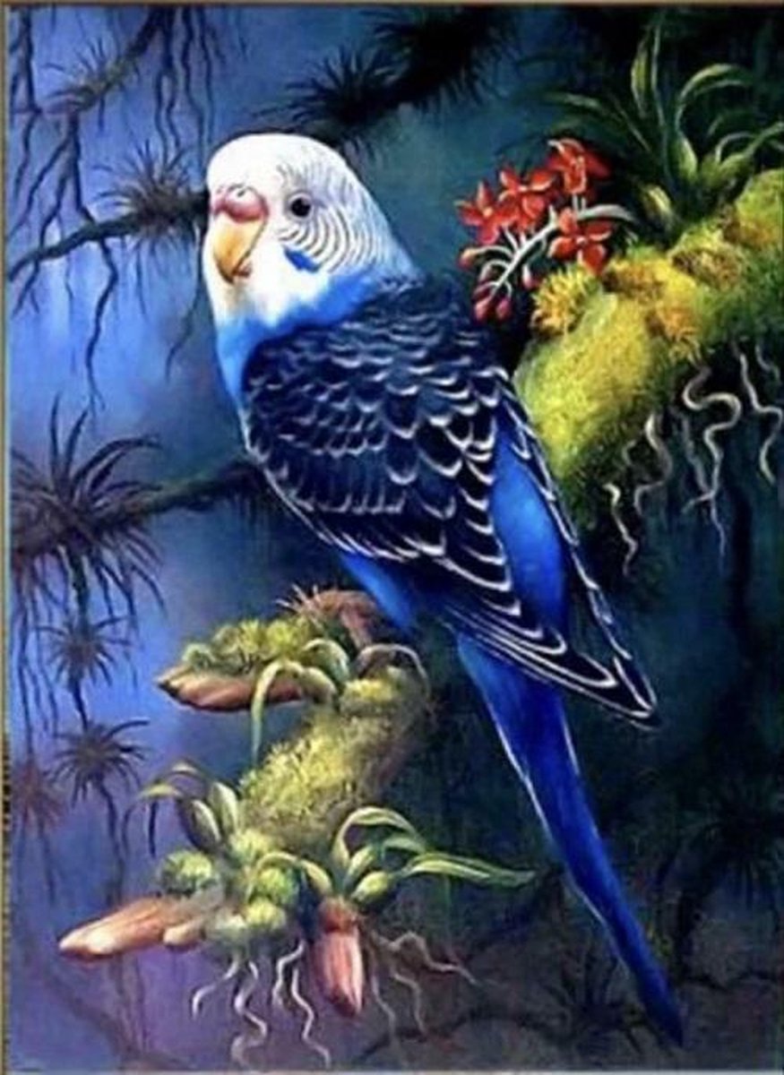 Diamond painting papagaai 40 x 50 cm volledige bedrukking ronde steentjes- direct leverbaar - nieuw - vlak - vogel -  parkiet - bomen - tak - natuur