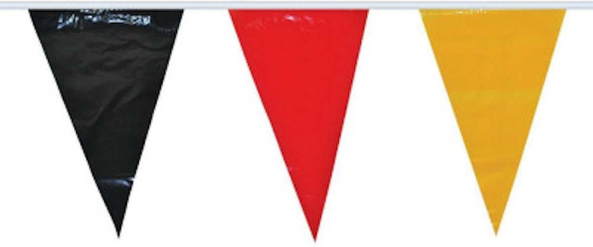 Duiste Vlaggenlijn 10 meter lang - 20 vlaggen