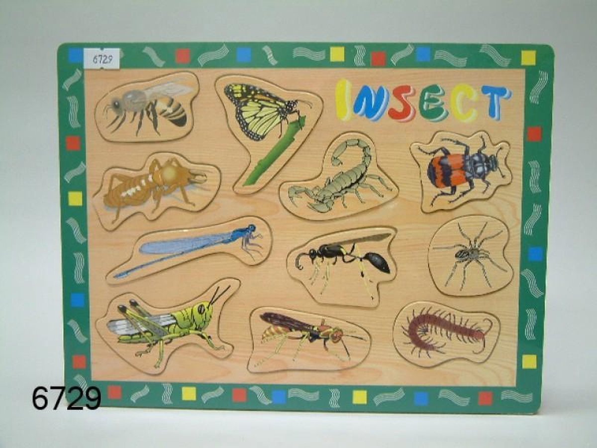Kinderpuzzel, vormen, insecten
