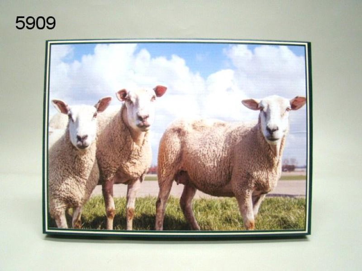 Legpuzzel schaap, 1000 stukjes