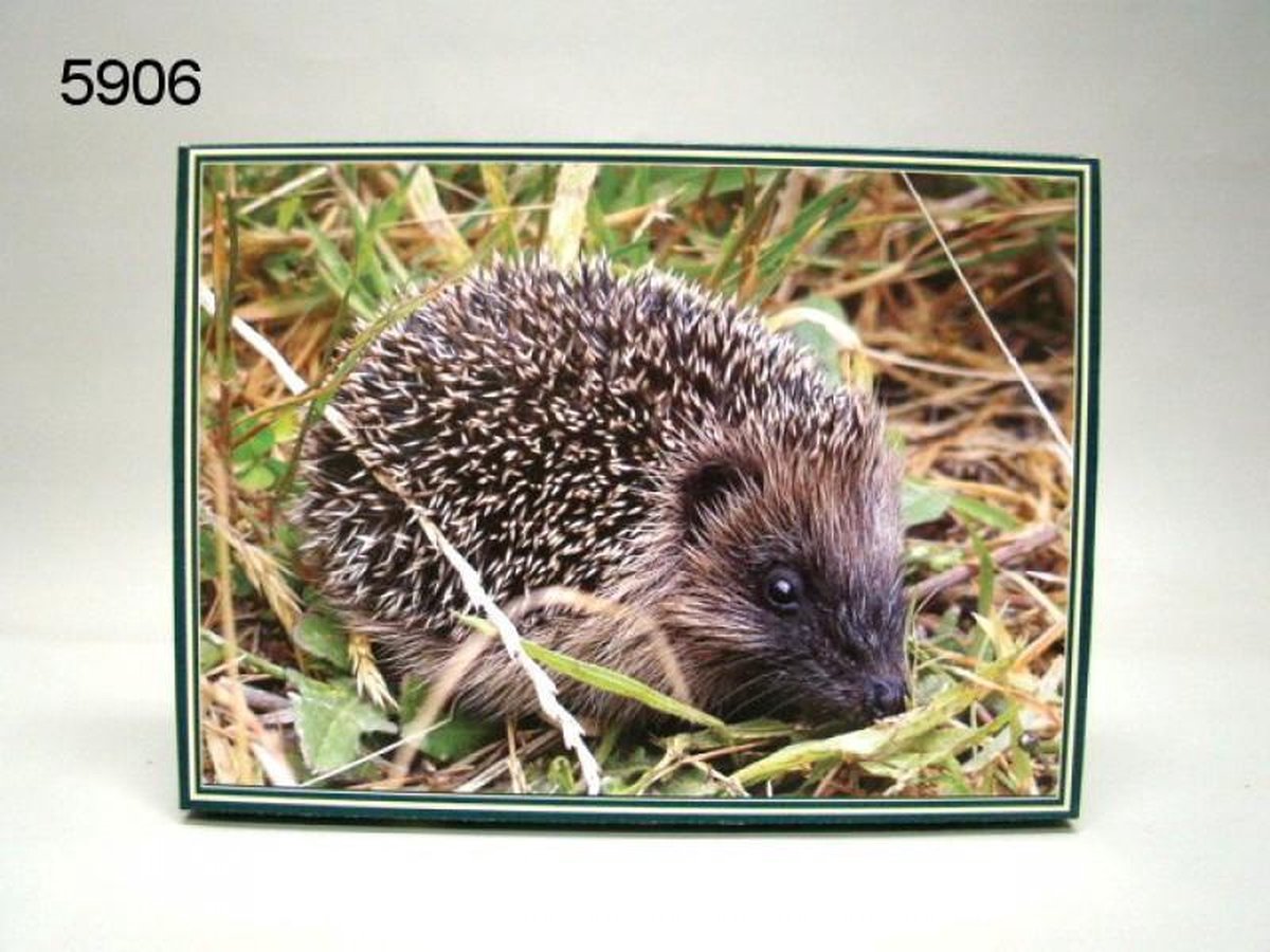 legpuzzel egel, 1000 stukjes