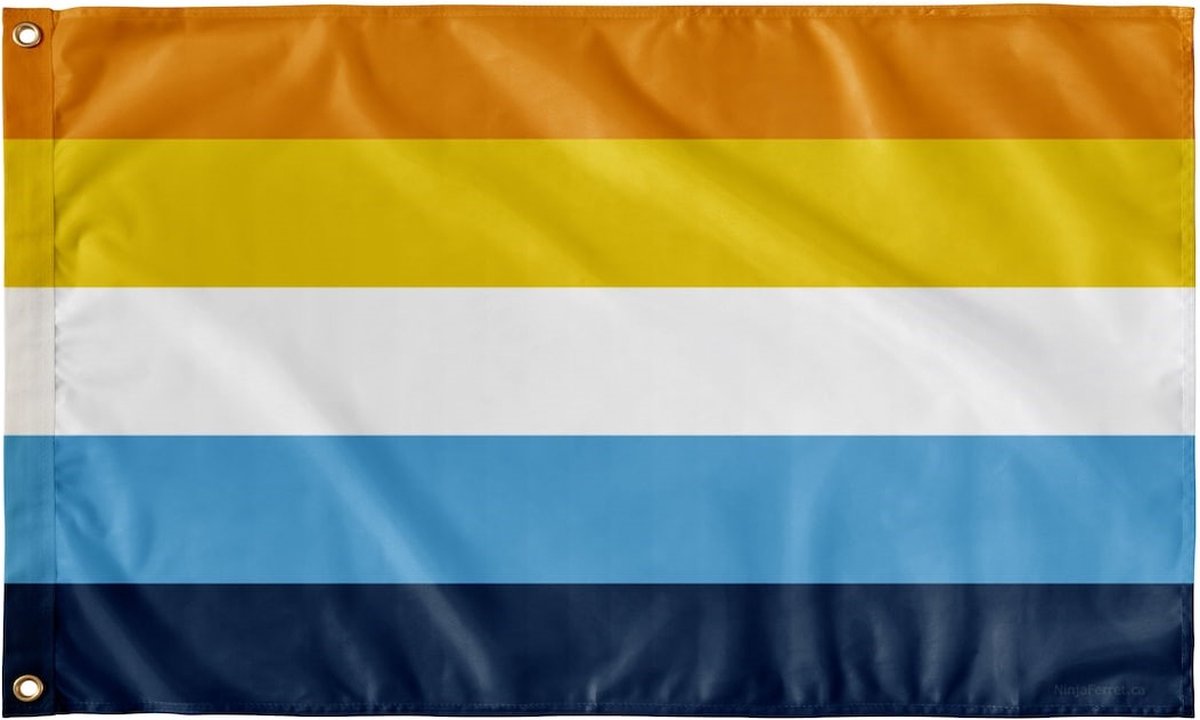 Aroace Pride vlag 90x150 cm - Polyester - 2 ophangringen - Aromantic Asexual flag