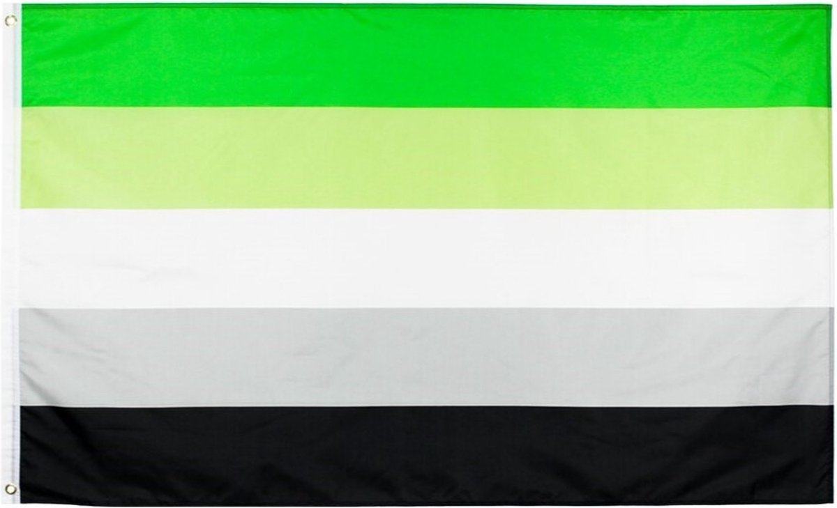 Aromantic Pride vlag 90x150 cm - Polyester - 2 ophangringen - Aromantisch flag