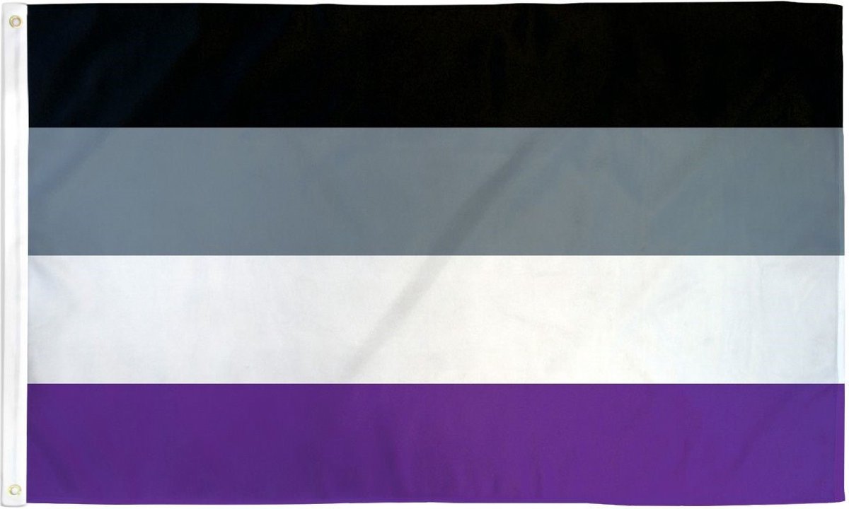 Asexual Pride vlag 90x150 cm - Polyester - 2 ophangringen - Aseksueel Asexueel flag