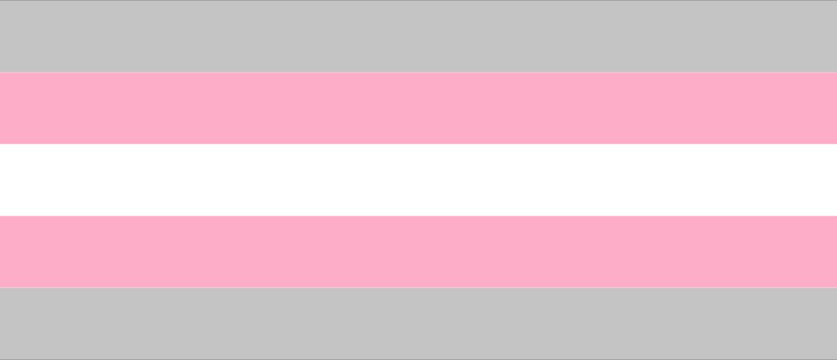 Demigirl Pride vlag 90x150cm - Polyester - 2 ophangringen – demi girl flag
