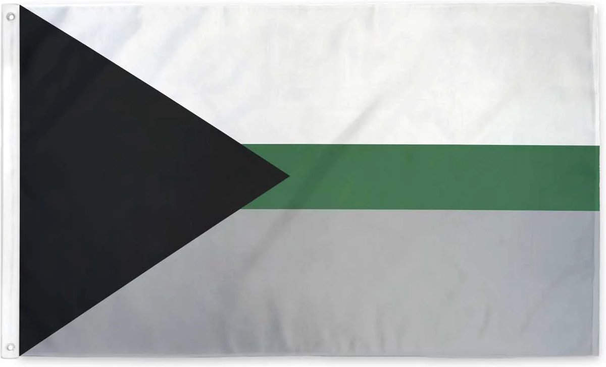 Demiromantic Pride vlag 90x150cm - Polyester - 2 ophangringen – demiromantisch flag