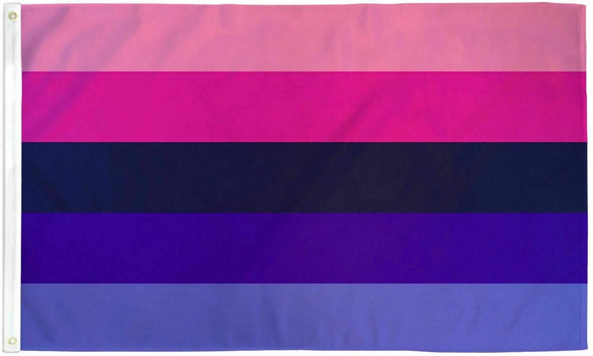 Omnisexual Pride vlag 90x150 cm - Polyester - 2 ophangringen - Omni flag