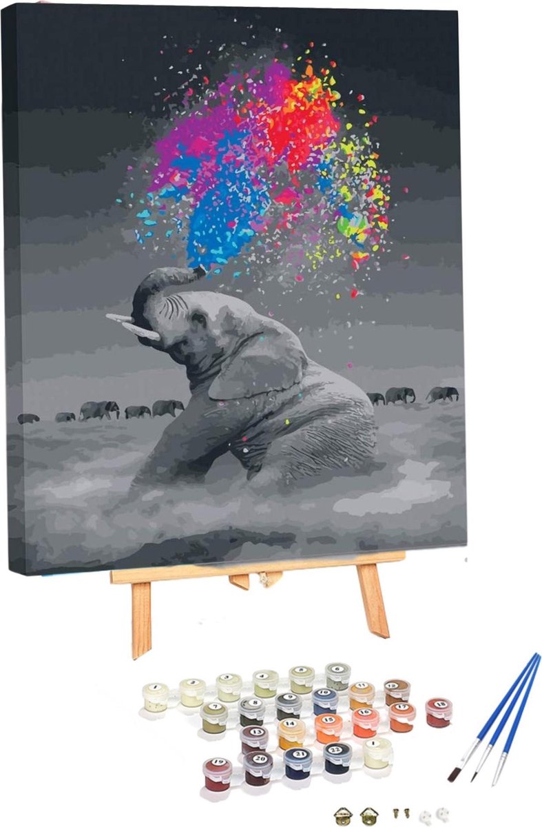 Schilderen Op Nummer met Frame - Gekleurde Olifant - Hobbypakket - 40x50 cm