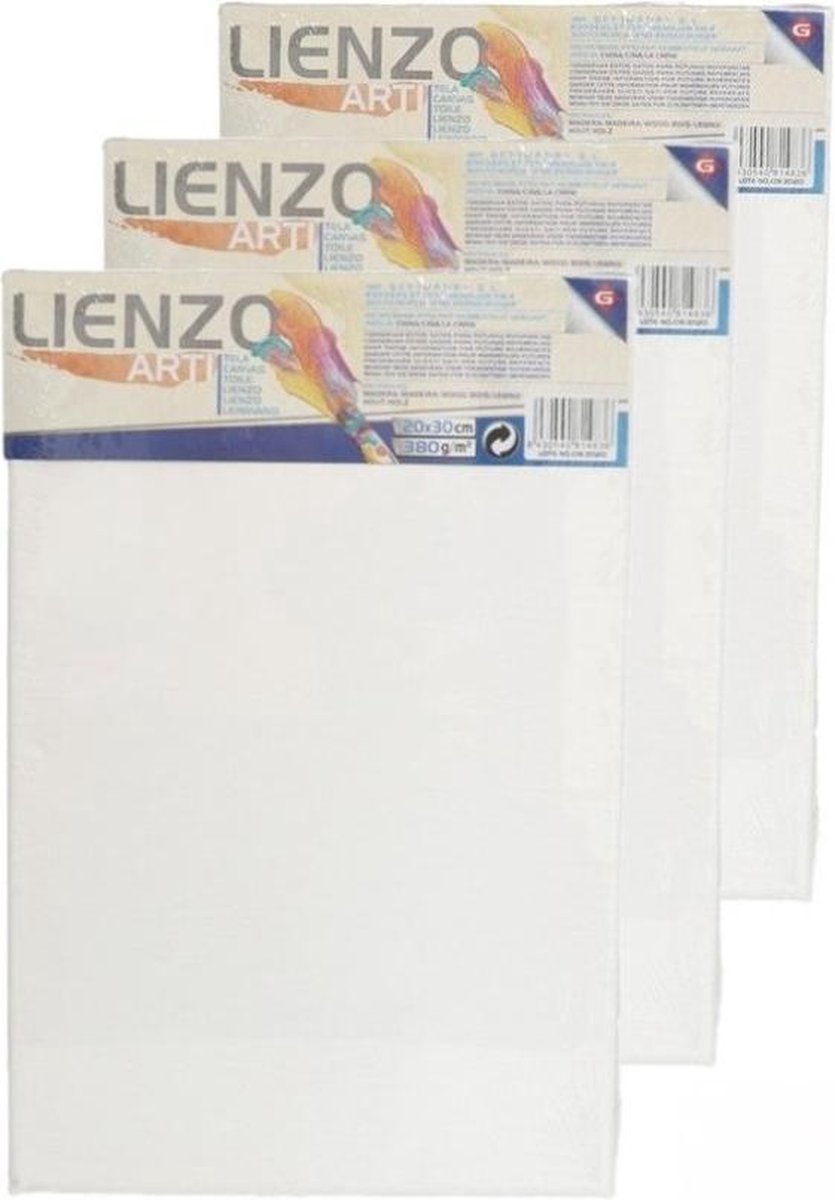 10x stuks canvas schildersdoeken 30 x 20 cm rechthoekig - hobby verven/schilderen - Diy schilderijen maken