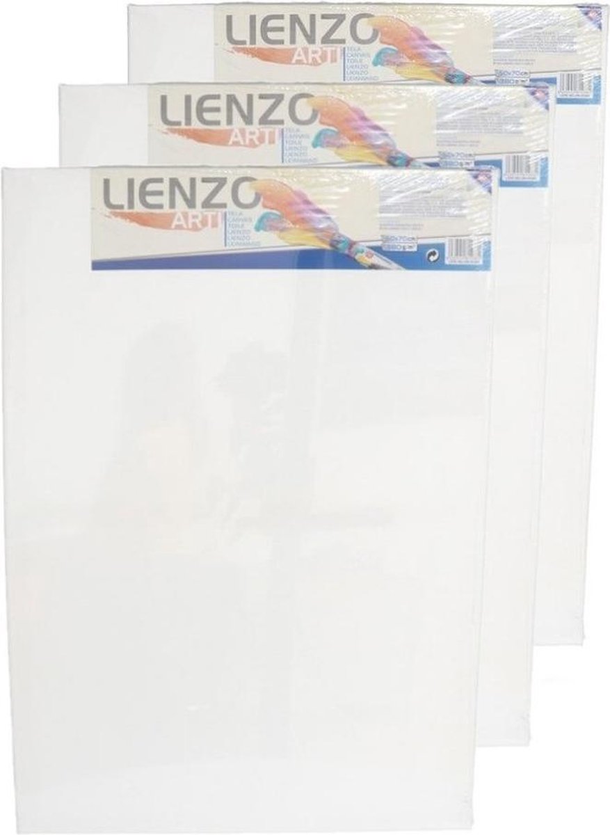 3x stuks canvas schildersdoeken 70 x 50 cm rechthoekig - hobby verven/schilderen - Diy schilderijen maken