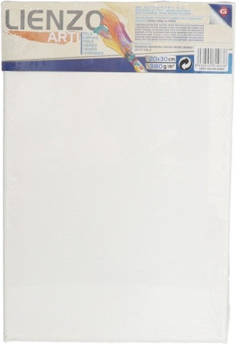 Canvas schildersdoek 30 x 20 cm rechthoekig - hobby verven/schilderen - DIY schilderijen maken