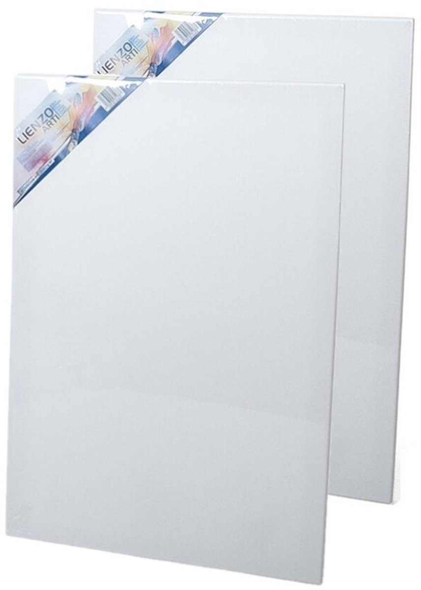 Canvas schildersdoek 60 x 40 cm - 2x - rechthoekig - hobby verven/schilderen - DIY schilderijen maken