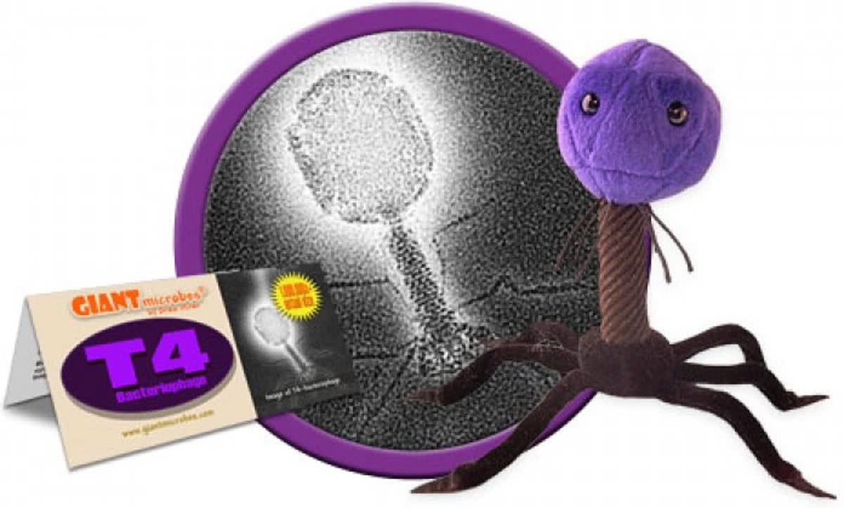 T4 (T4-Bacteriophage)