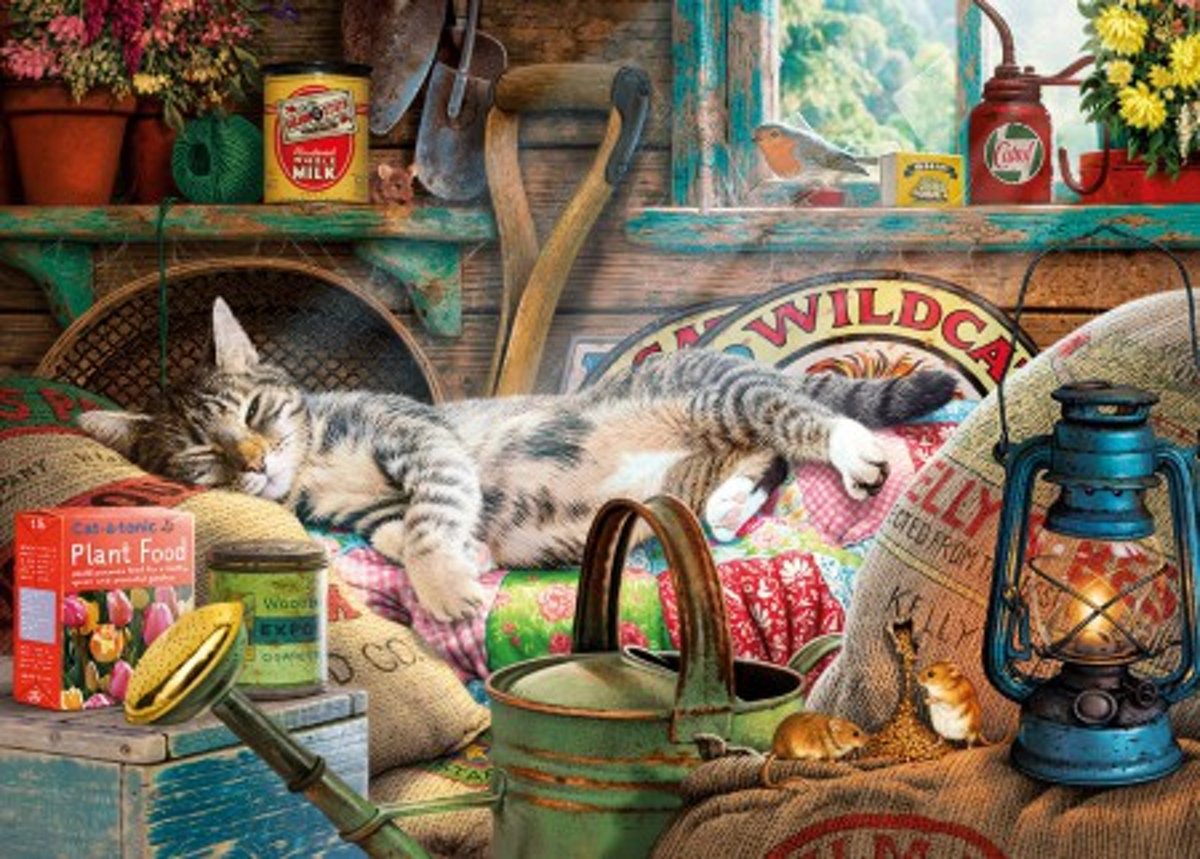 Snoozing in the Shed - Steve Read (1000)