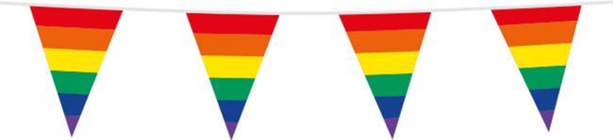 Regenboog vlaggetjes slinger 10m