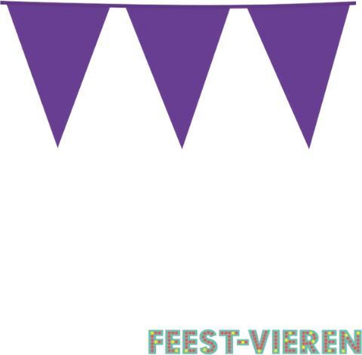 Reuze slinger - paars - vlag 30 x 45 cm - 10 meter