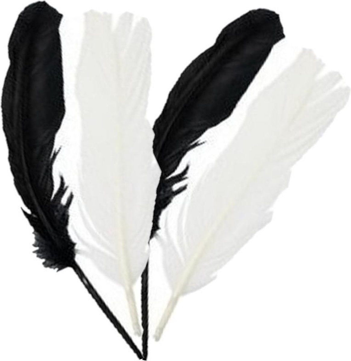 45x stuks zwart/wit indianenveren/sierveren 16 cm - Decoratie veertjes/veren