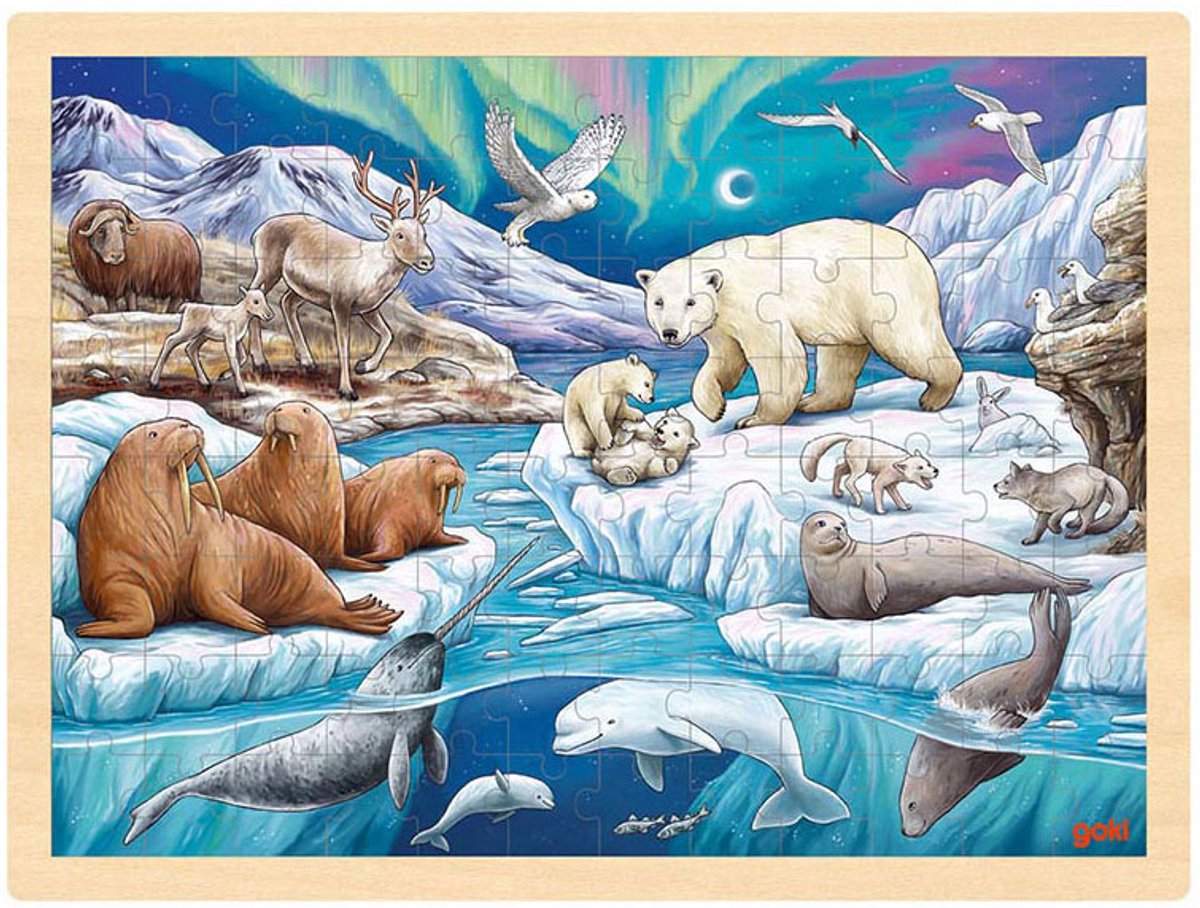 Goki Houten Legpuzzel Poolnacht, 96st.