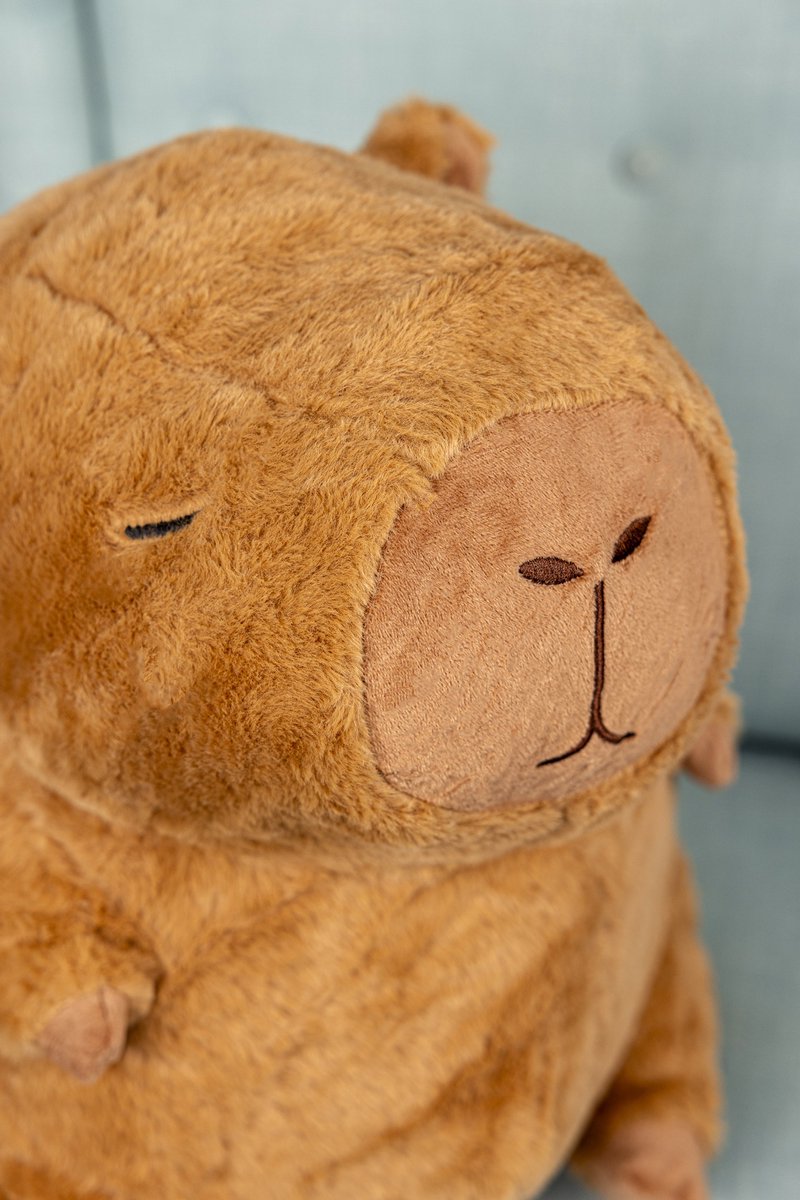 Capybara Knuffel - Capibara Groot - Kapibara - XL - 60 cm - Pluche - Knuffels - Gomoor
