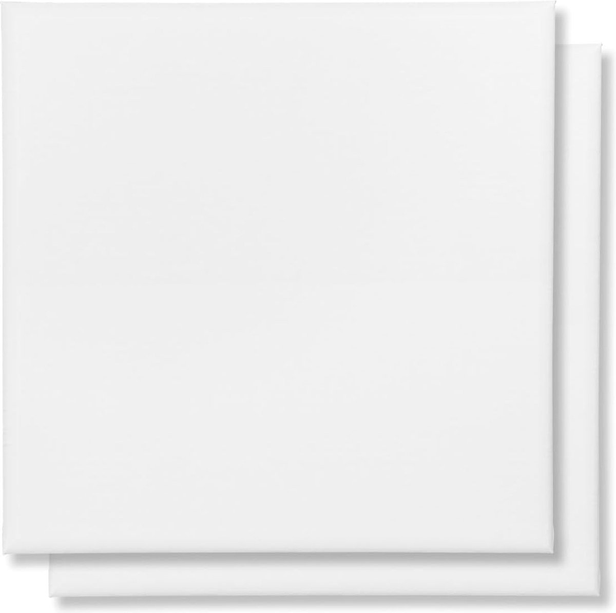 Goodivery ® 2 stuks canvas spieramen in 9 verschillende maten selecteerbaar wigframe bespannen met katoenen canvas, afmetingen: 50 x 50 cm