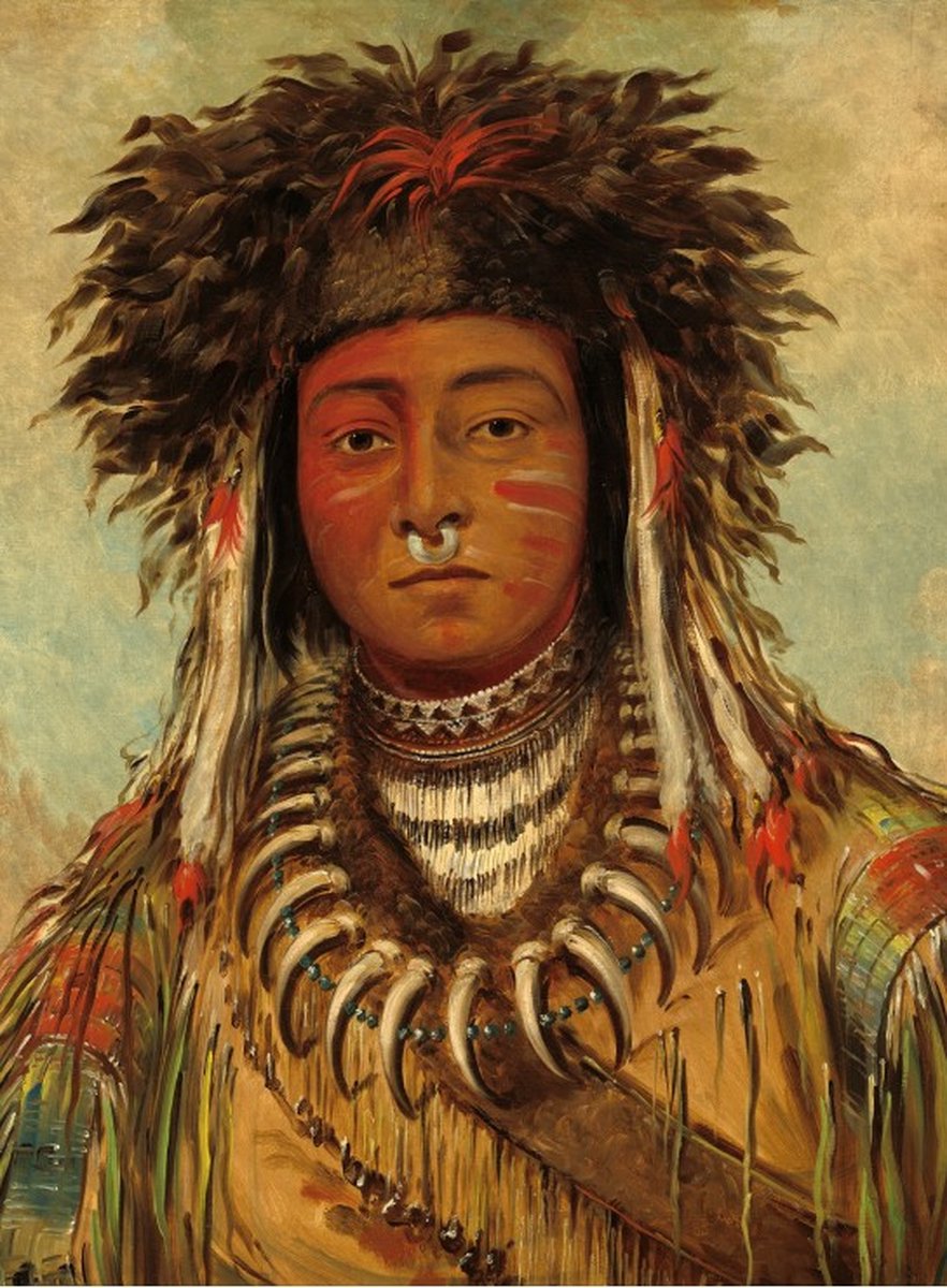 George Catlin: Boy Chief - Ojibbeway, 1843 puzzel 2000 stukjes