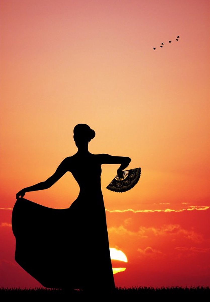 Grafika Puzzel Flamenco at Sunset 3900 stukjes