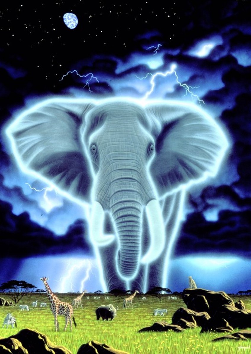 Grafika Schim Schimmel - Spirit of Africa  Puzzel 1000 stukjes