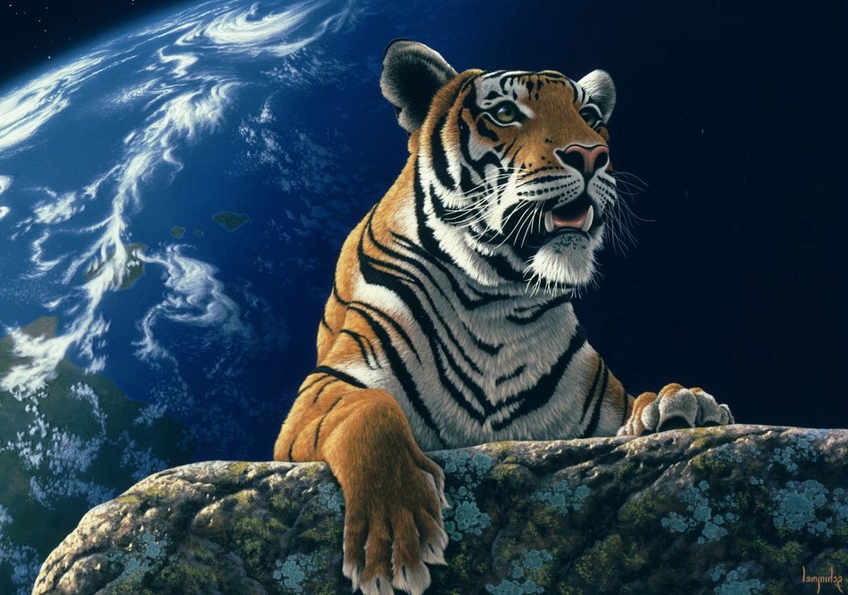 Grafika puzzel Only One Home - legpuzzel 2000 stukjes multicolor.