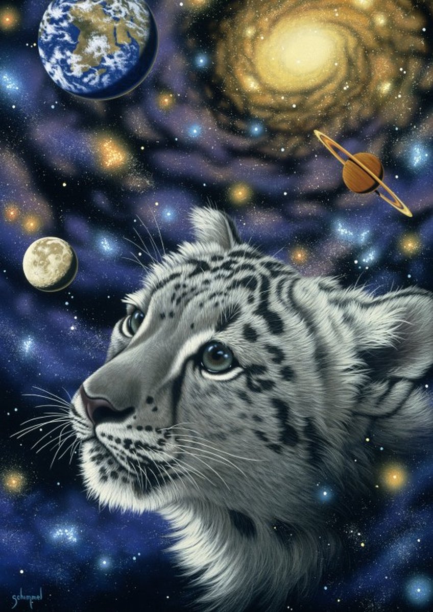 Grafika puzzel Schim Schimmel - One with the Universe - 1500 stukjes.