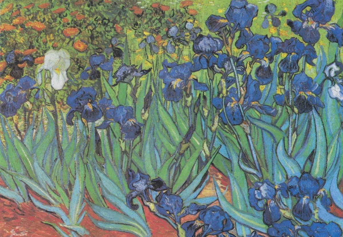 Grafika puzzel Van Gogh Vincent - Saint-Remy - Les Iris 1000 stukjes.