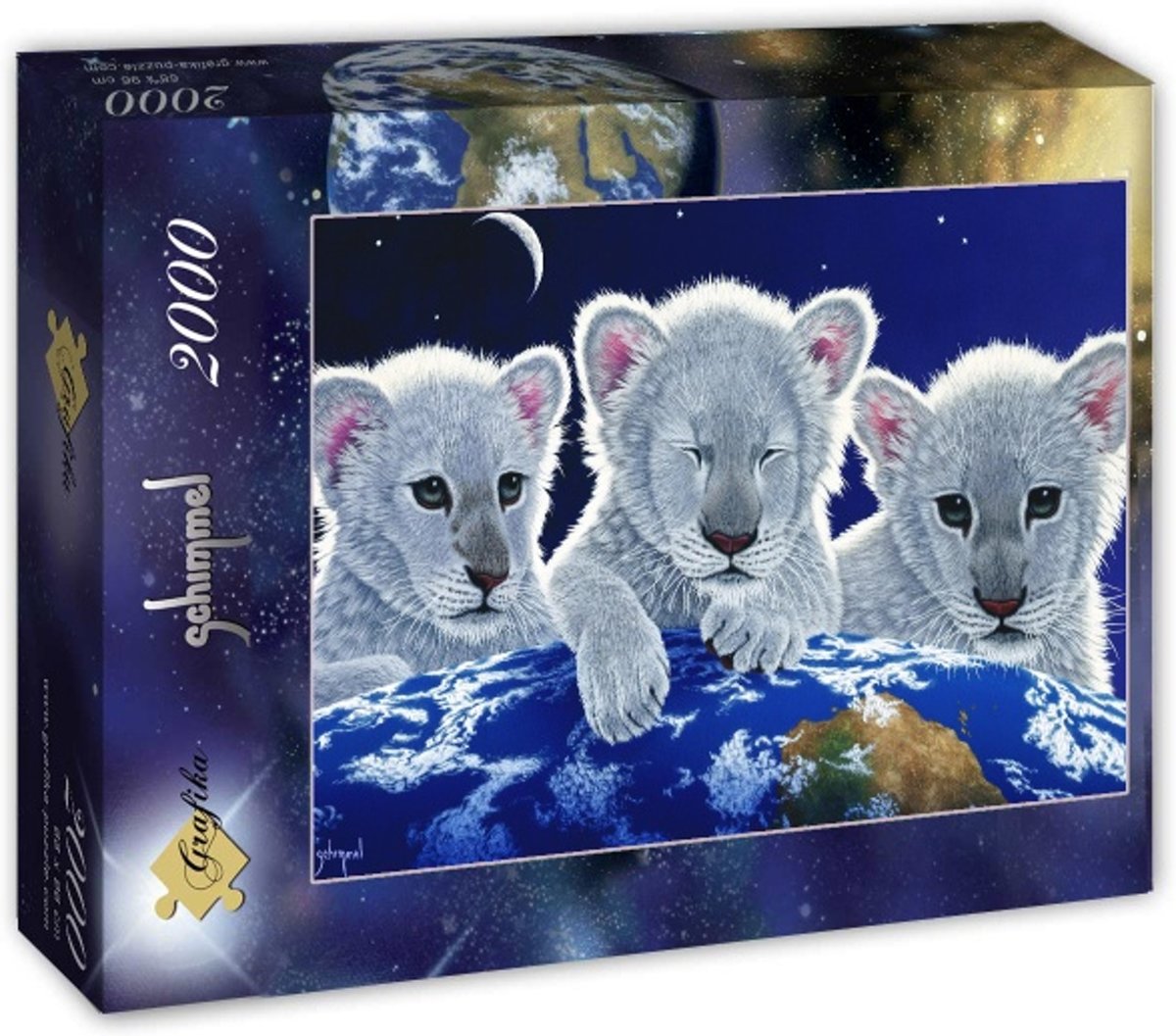 Schim Schimmel legpuzzel Secret, Mystery and Hope 2000 stukjes