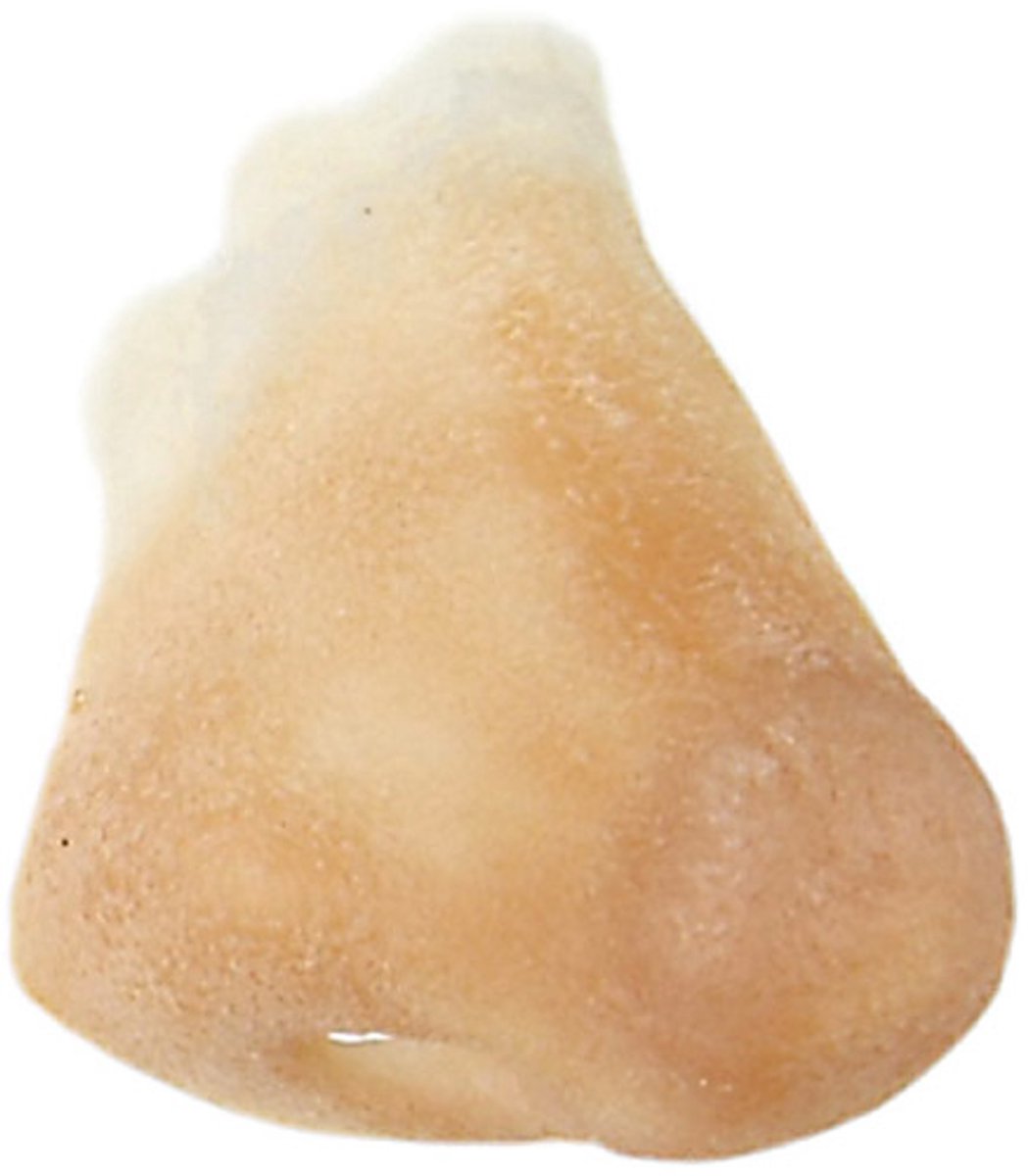 Grimas - Latex neus - Normale neus - 110