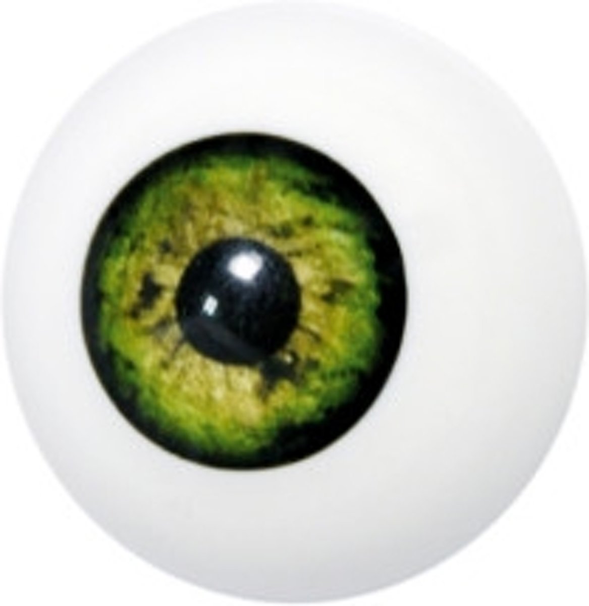   - Oog - Kunststof - 401