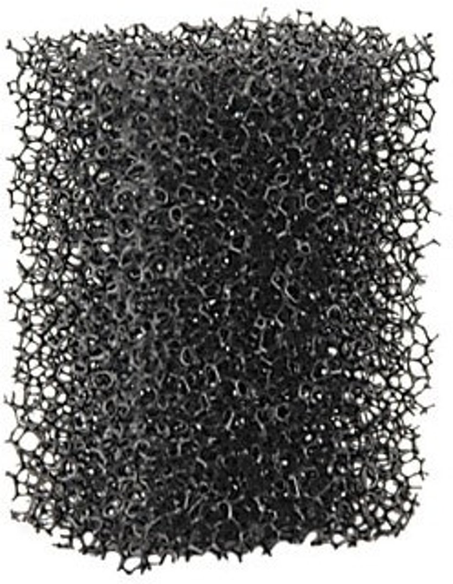   - Schmink spons - Stippelbaard