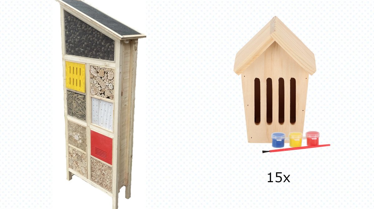 Insectenhotel & Vlinder creativiteit set