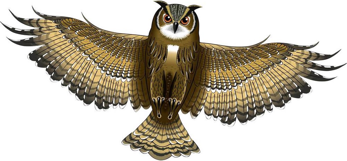 Günther Flugspiele Eenlijns Vlieger Uil Spanwijdte 1220 mm Geschikt voor windsterkte 3 - 6 bft