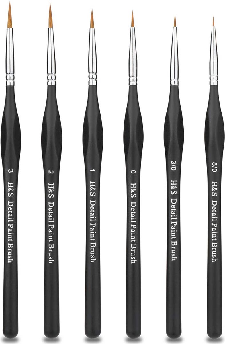 H&S Detail Paint Brushes Set 6 stks Artiest Paint Brush Fine Tip Professional voor Acryl Aquarel Olieverfschilderij