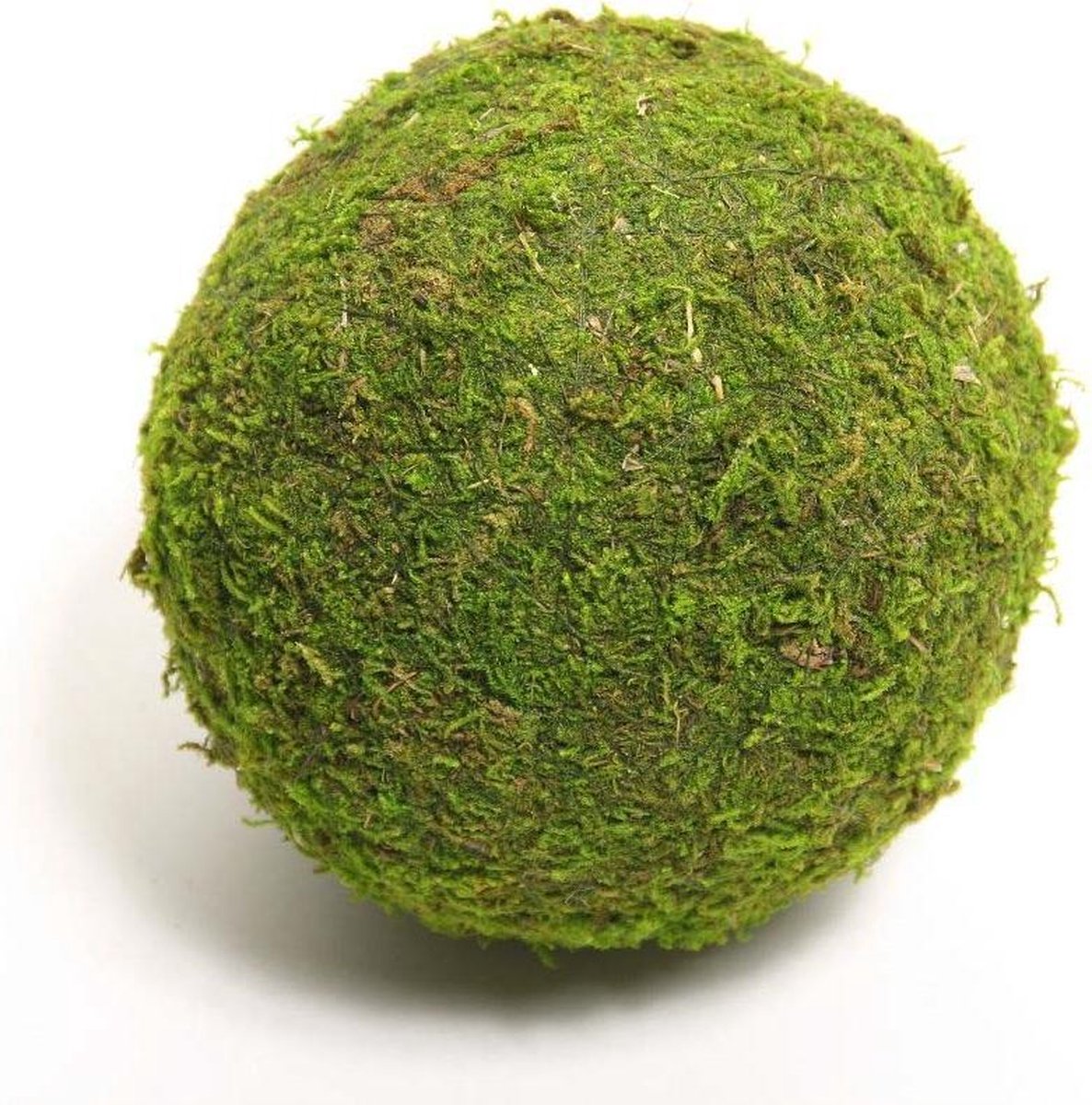 HBX Deco - Bal asia mos 20 centimeter groen