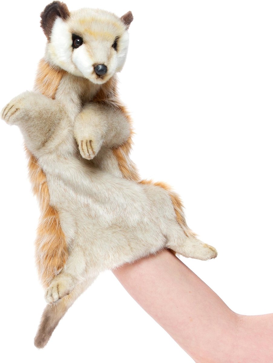 Meerkat handpop