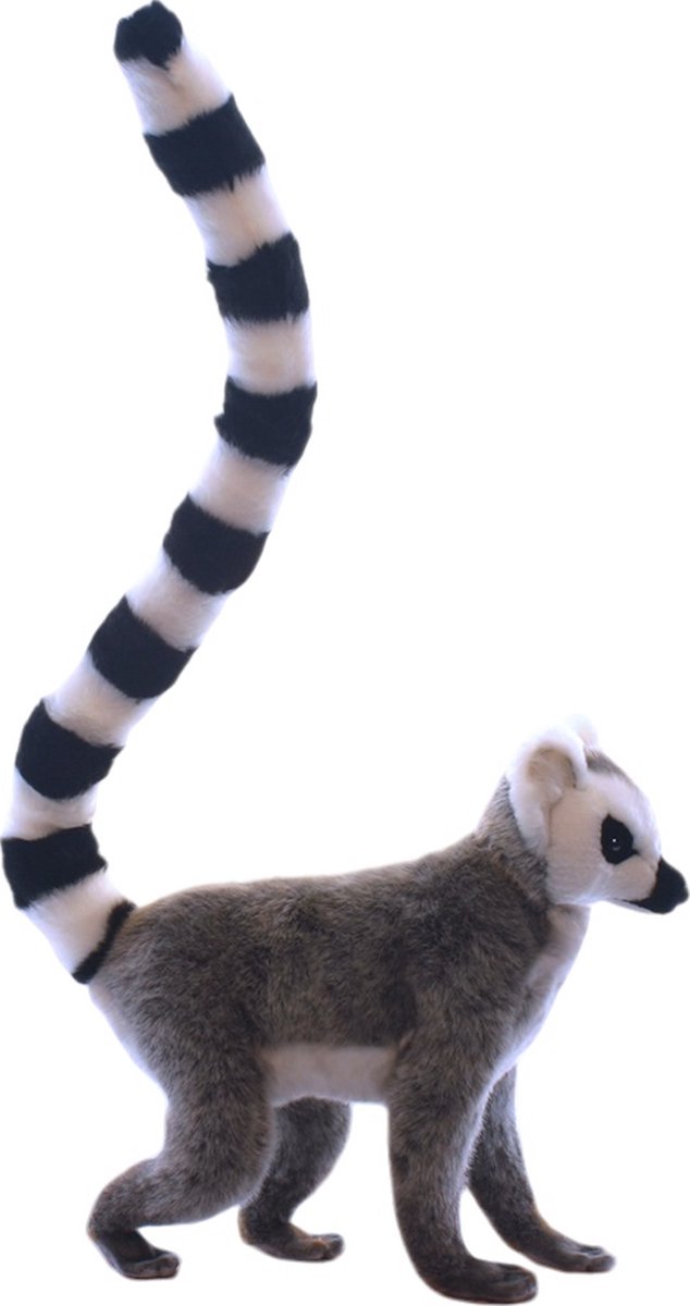 Ringstaartmaki H 58cm