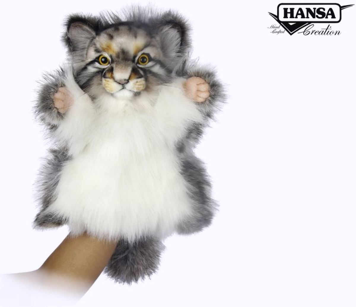 Handpop Kat Pallas, Hansa