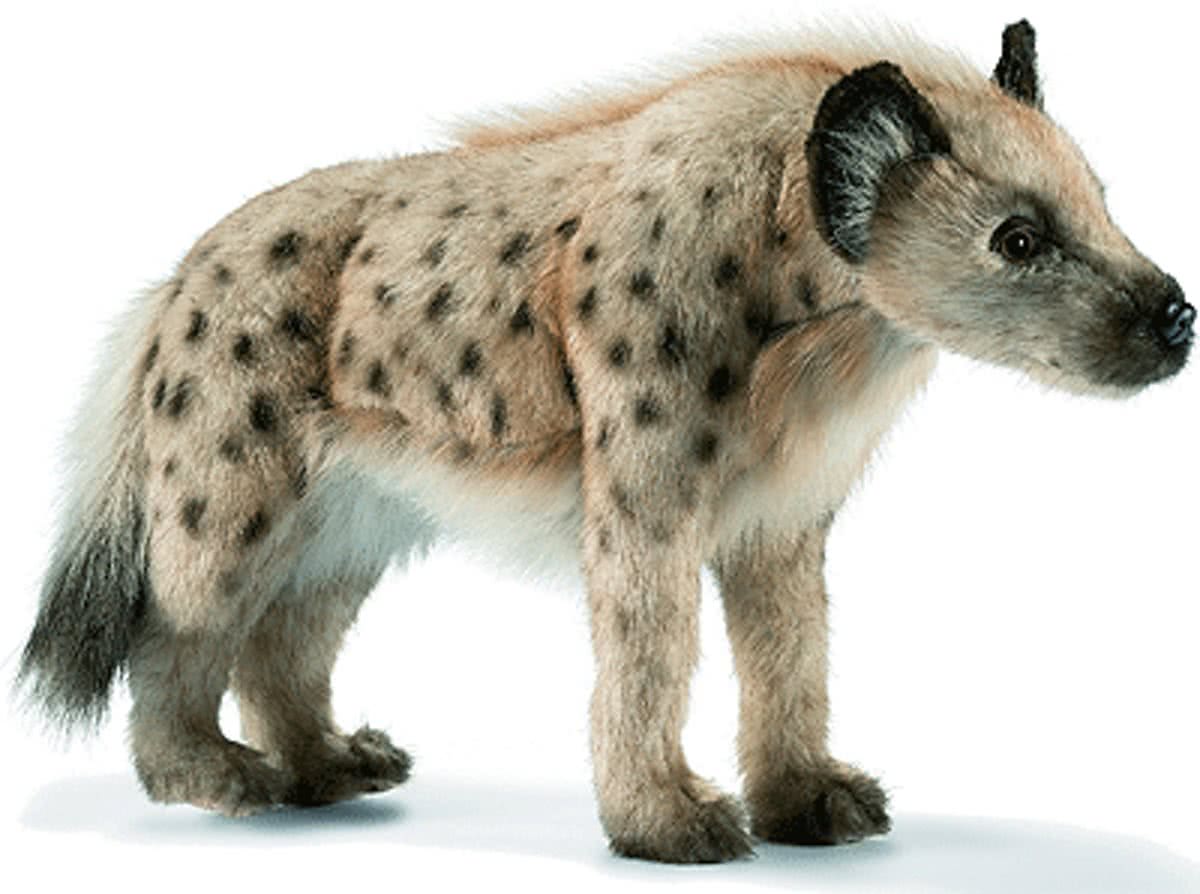 Pluche hyena 35 cm