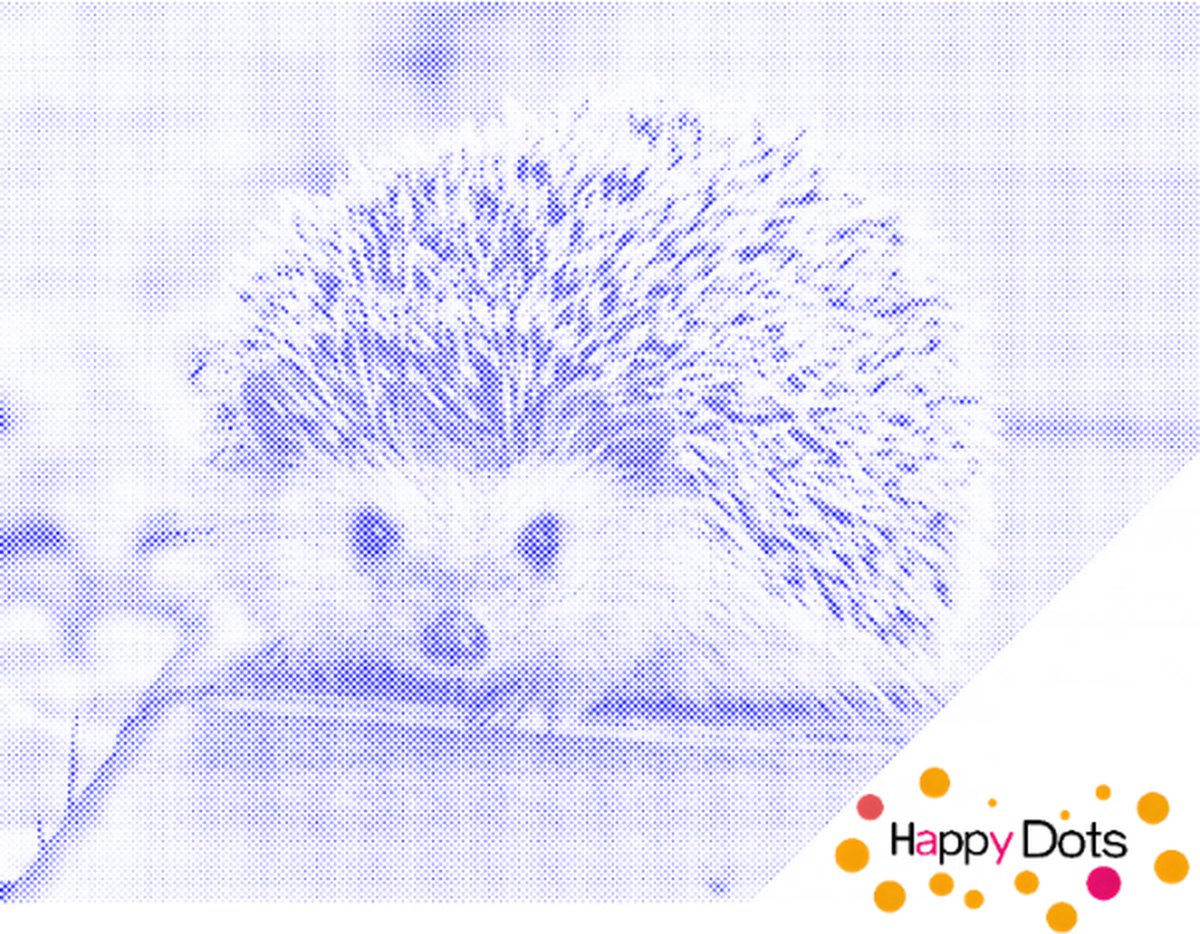 HappyDots DOT Painting Egel 30x40cm - Stippelschilderij Blauw