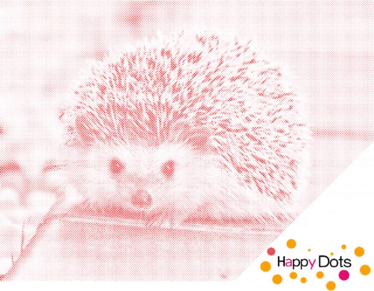 HappyDots DOT Painting Egel 30x40cm - Stippelschilderij Rood