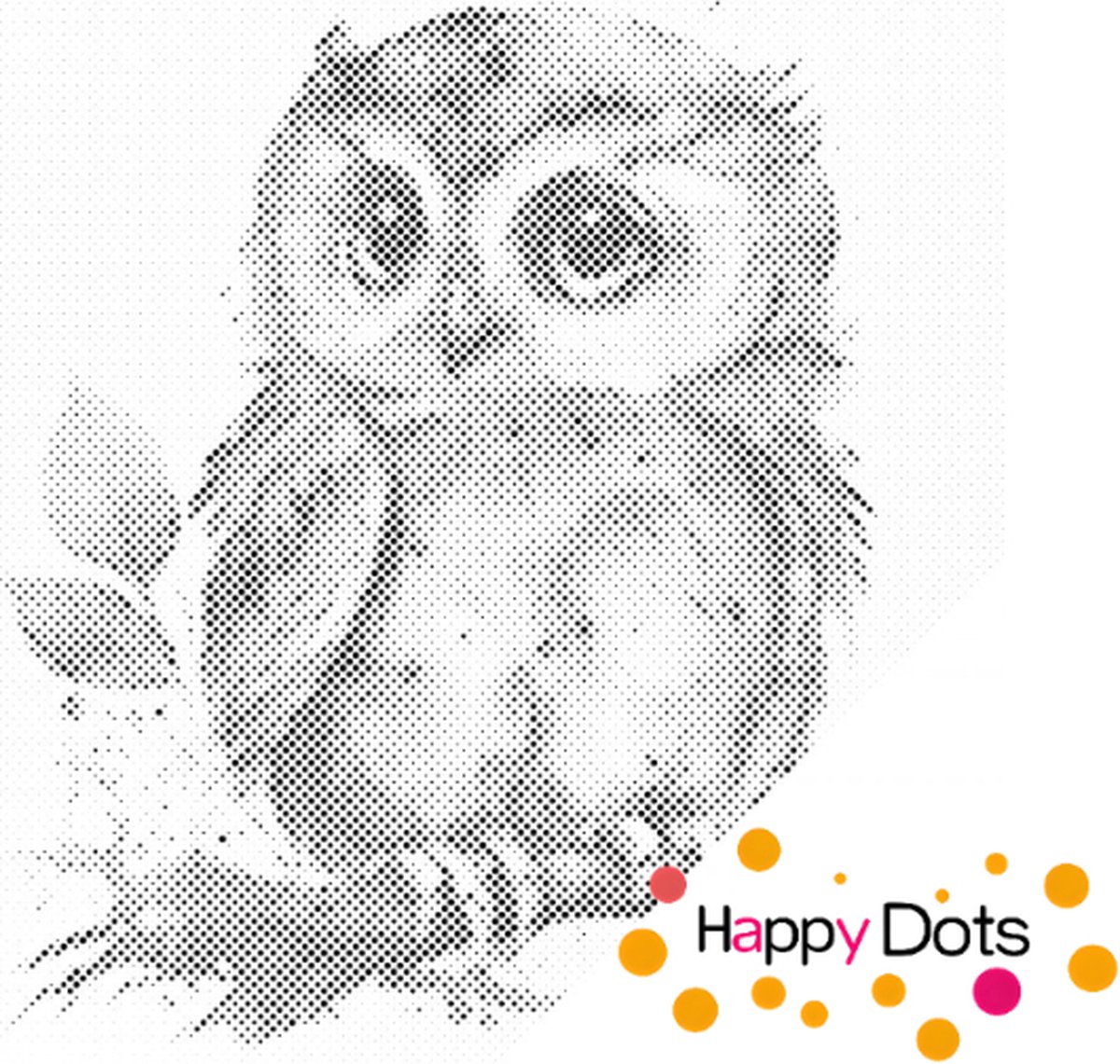 HappyDots DOT Painting Schattige Uil 30x40cm - Stippelschilderij
