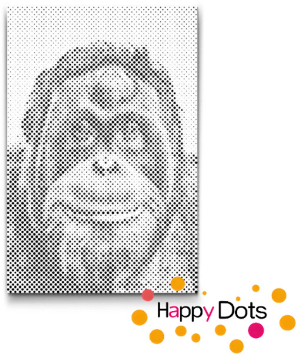 HappyDots DOT Painting Wildlife - Chimpansee - Stippelschilderij - 40x60cm