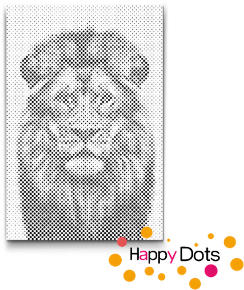 HappyDots DOT Painting Wildlife - Leeuw - Stippelschilderij - 40x60cm